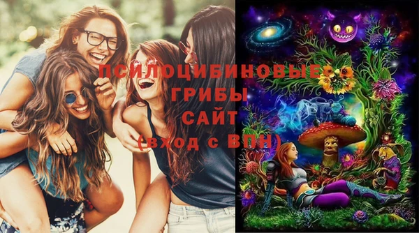 дурь Абдулино
